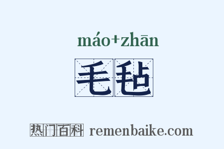 毛毡是什么意思的图片